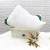 RUỘT GỐI NẰM DELUXE